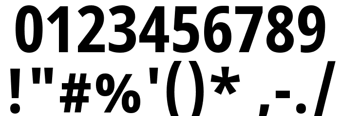 Noto Sans Devanagari Condensed Bold Font OTHER CHARS