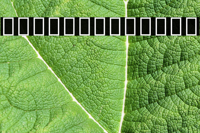 Noto Sans Devanagari ExtraCondensed Black Example 2