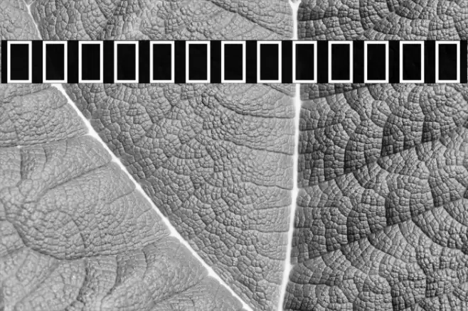 Noto Sans Devanagari ExtraCondensed Black Font examples