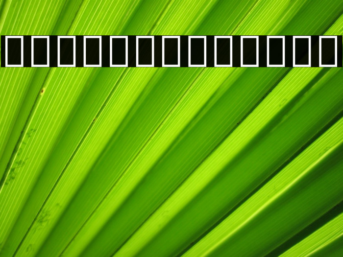 Noto Sans Devanagari ExtraCondensed Bold Font examples