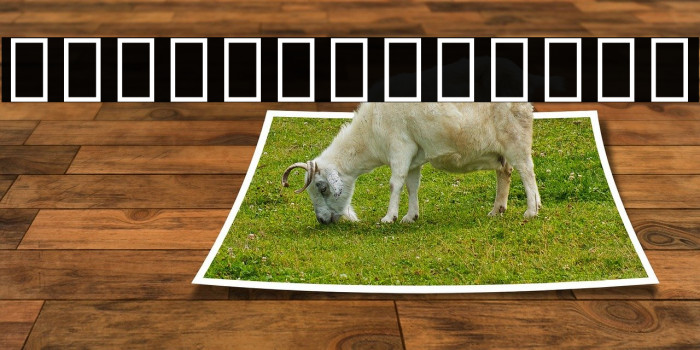 Noto Sans Devanagari ExtraCondensed ExtraBold Example 2