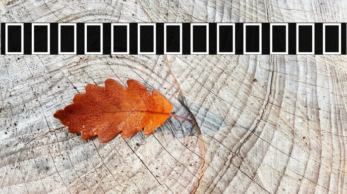 Noto Sans Devanagari ExtraCondensed Font examples