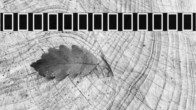 Noto Sans Devanagari ExtraCondensed Example 2