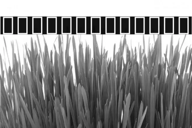 Noto Sans Devanagari ExtraCondensed Example 3