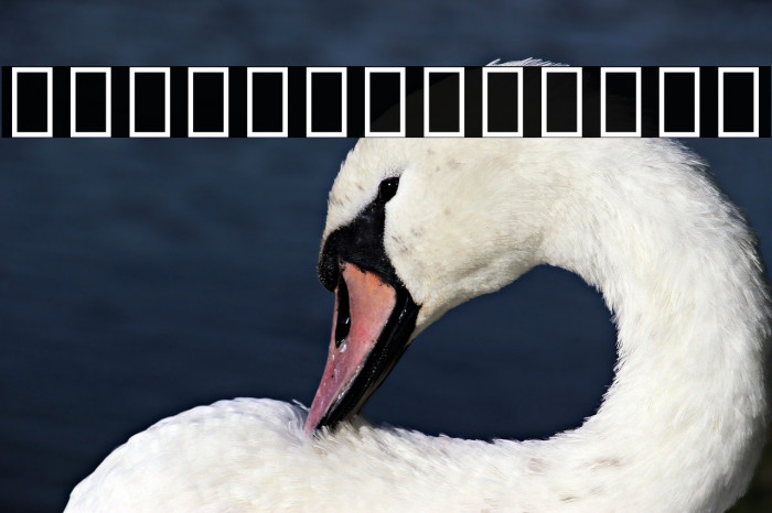 Noto Sans Devanagari Medium Example 2