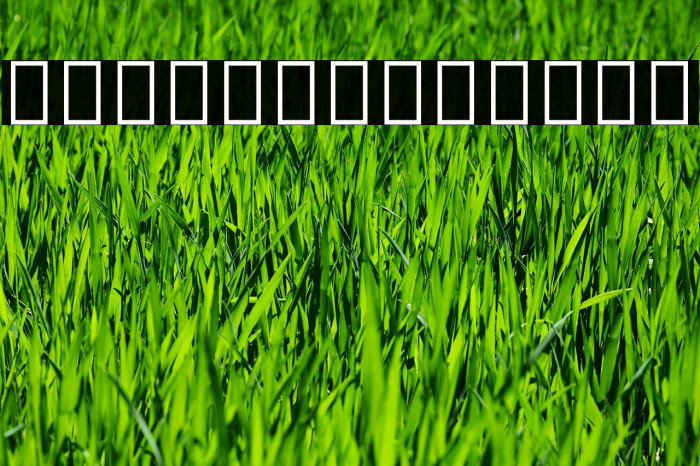 Noto Sans Devanagari SemiCondensed ExtraBold Example 1