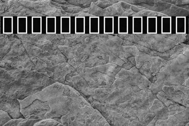 Noto Sans Devanagari UI Condensed ExtraBold Example 2