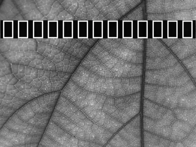 Noto Sans Devanagari UI Condensed Light Font examples