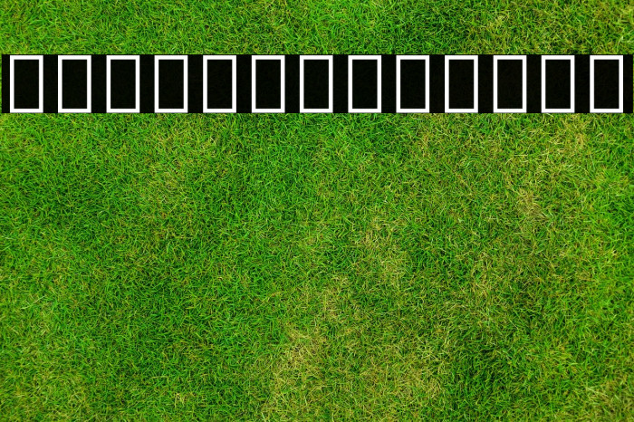 Noto Sans Devanagari UI ExtraBold Font examples