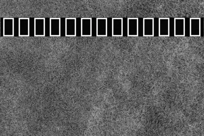 Noto Sans Devanagari UI ExtraBold Example 2