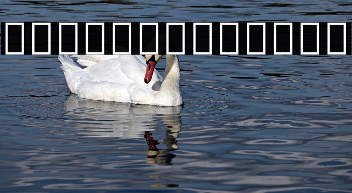 Noto Sans Devanagari UI SemiCondensed Bold Example 2