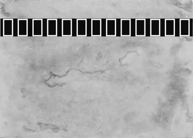 Noto Sans Devanagari UI SemiCondensed Bold Font examples