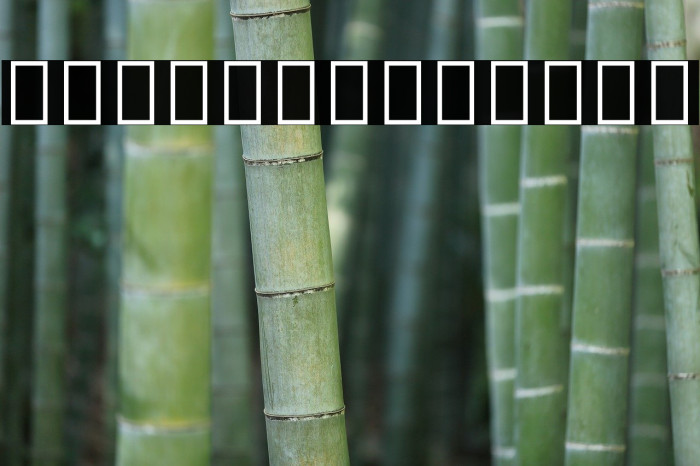 Noto Sans Devanagari UI SemiCondensed ExtraBold Example 2