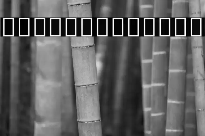 Noto Sans Devanagari UI SemiCondensed ExtraBold Font examples