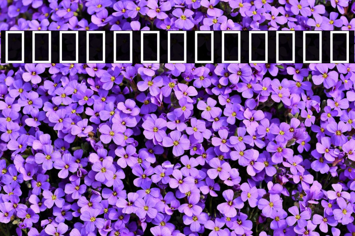 Noto Sans Devanagari UI SemiCondensed ExtraBold Example 3