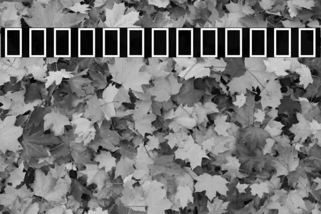 Noto Sans Devanagari UI SemiCondensed Font examples