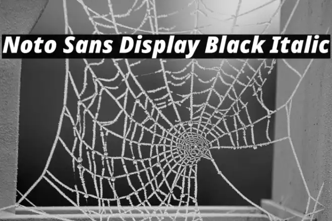 Noto Sans Display Black Italic Example 3