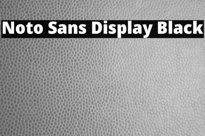 Noto Sans Display Black Font examples