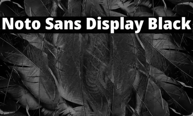 Noto Sans Display Black Font examples