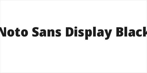Noto Sans Display Black Logo