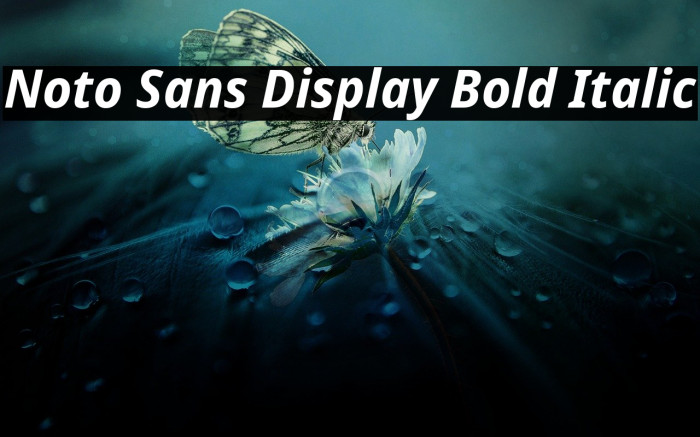 Noto Sans Display Bold Italic Font examples