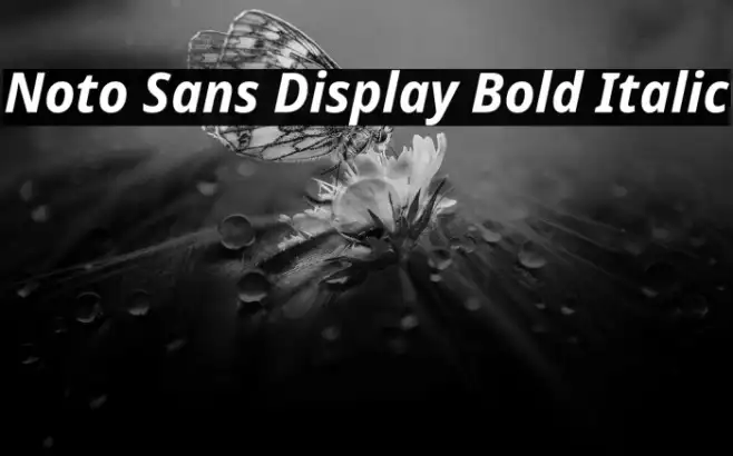 Noto Sans Display Bold Italic Example 1