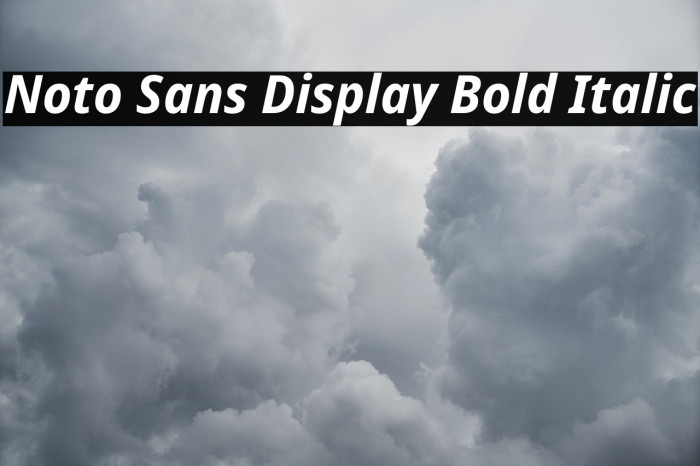 Noto Sans Display Bold Italic Font examples