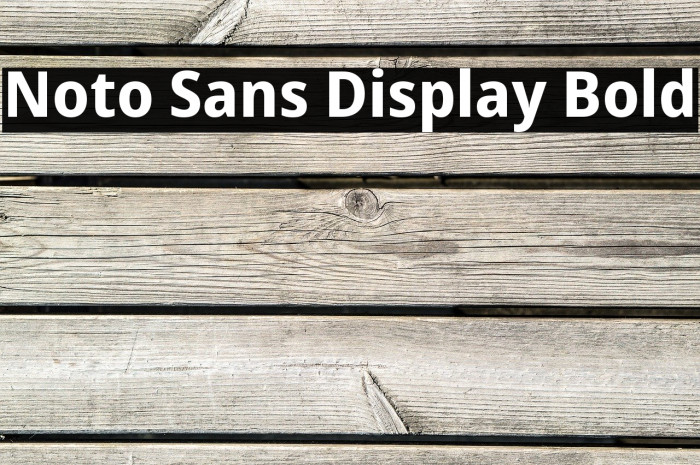 Noto Sans Display Bold Font examples
