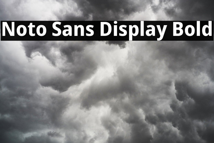 Noto Sans Display Bold Font examples