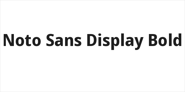 Noto Sans Display Bold Logo