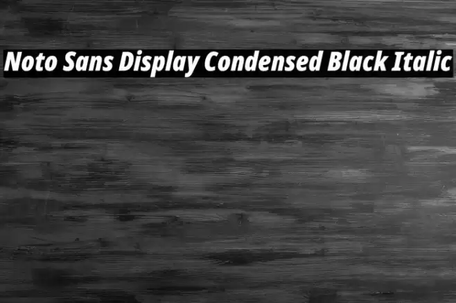 Noto Sans Display Condensed Black Italic Font examples