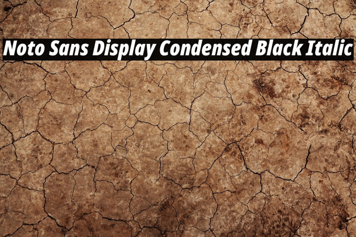 Noto Sans Display Condensed Black Italic Example 2