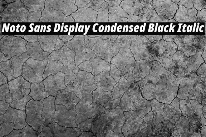 Noto Sans Display Condensed Black Italic Font examples