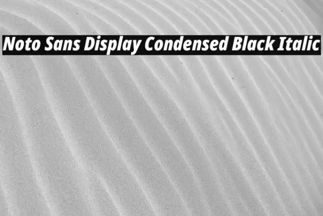 Noto Sans Display Condensed Black Italic Font examples