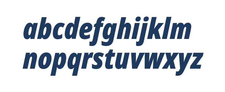 Noto Sans Display Condensed Black Italic Lowercase