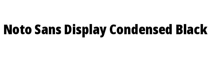 Noto Sans Display Condensed Black  Free Fonts Download