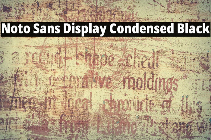 Noto Sans Display Condensed Black Example 1