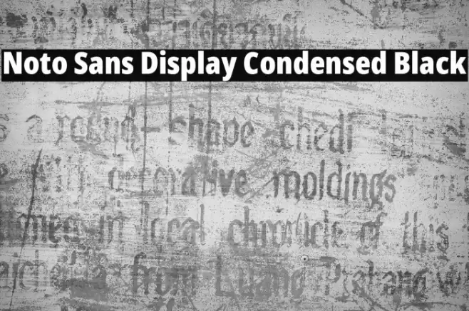 Noto Sans Display Condensed Black Font examples