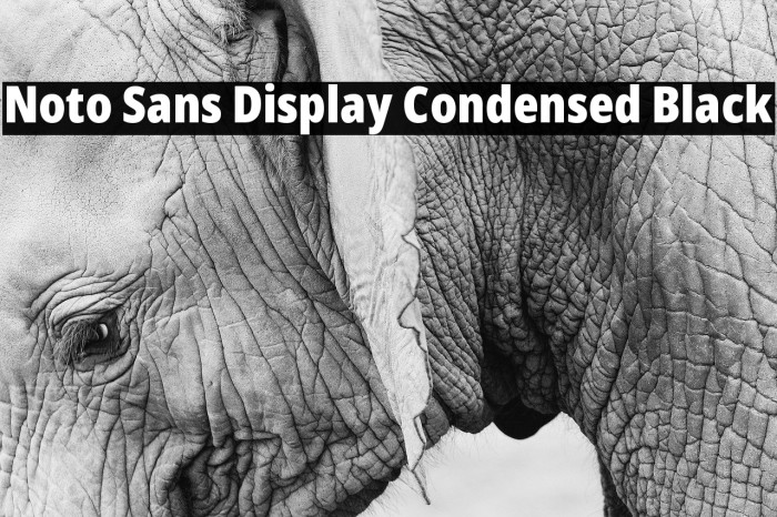 Noto Sans Display Condensed Black Example 3