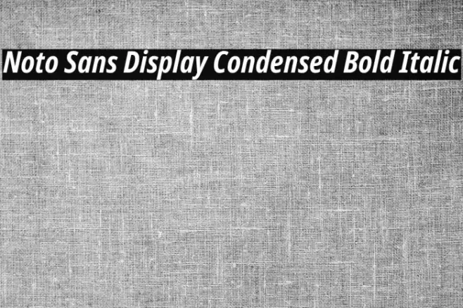 Noto Sans Display Condensed Bold Italic Font examples