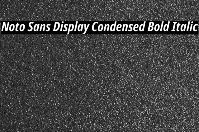 Noto Sans Display Condensed Bold Italic Font examples