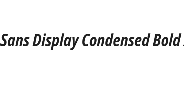 Noto Sans Display Condensed Bold Italic Logo