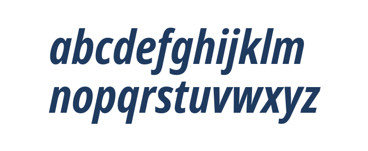 Noto Sans Display Condensed Bold Italic Lowercase