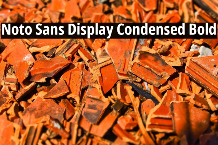Noto Sans Display Condensed Bold Font examples