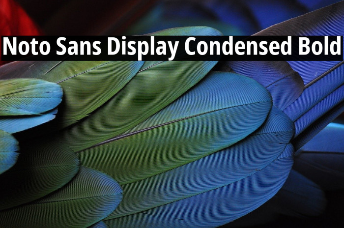 Noto Sans Display Condensed Bold Font examples