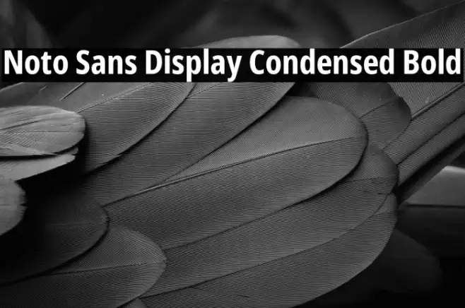 Noto Sans Display Condensed Bold Example 3