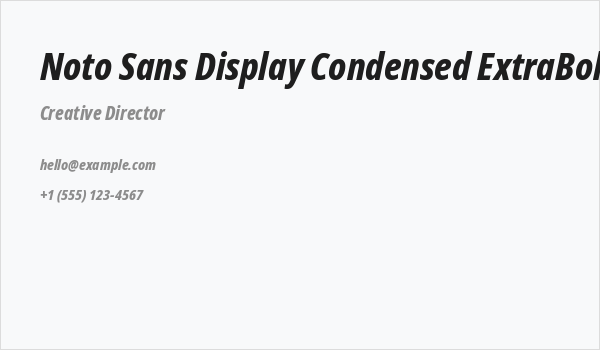 Noto Sans Display Condensed ExtraBold Italic Business Card