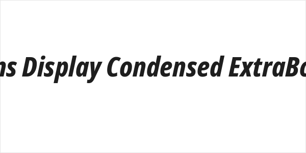 Noto Sans Display Condensed ExtraBold Italic Logo