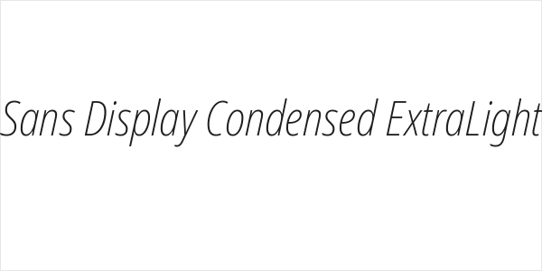 Noto Sans Display Condensed ExtraLight Italic Logo