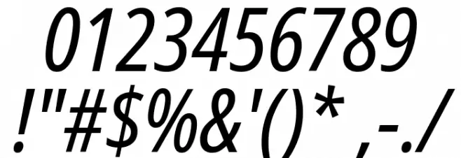 Noto Sans Display Condensed Italic Font OTHER CHARS